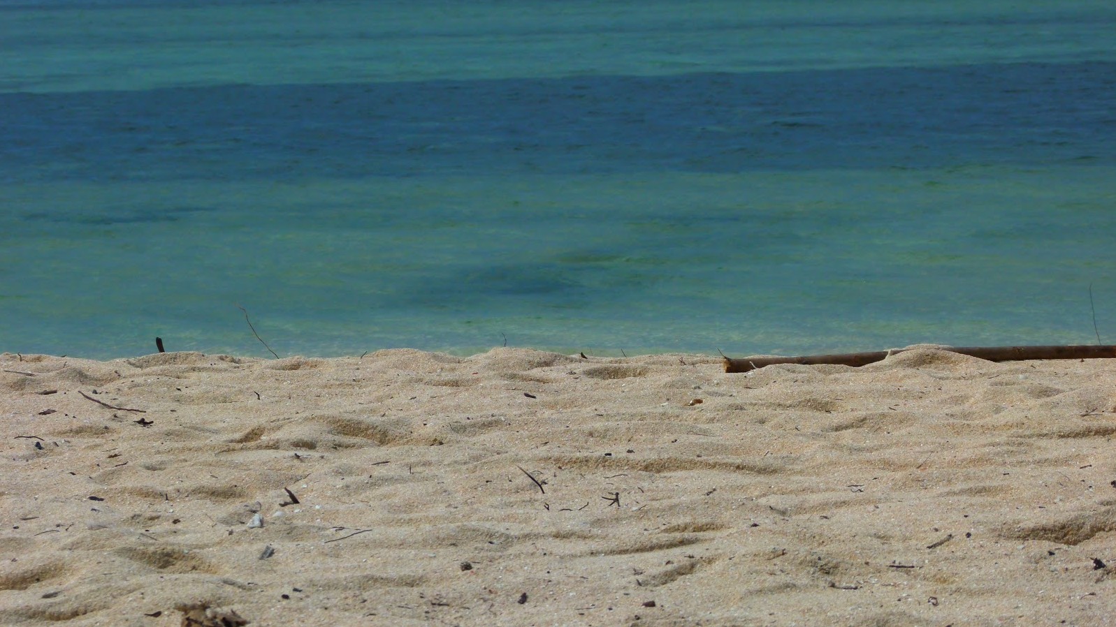 Scenery of Anguib Beach