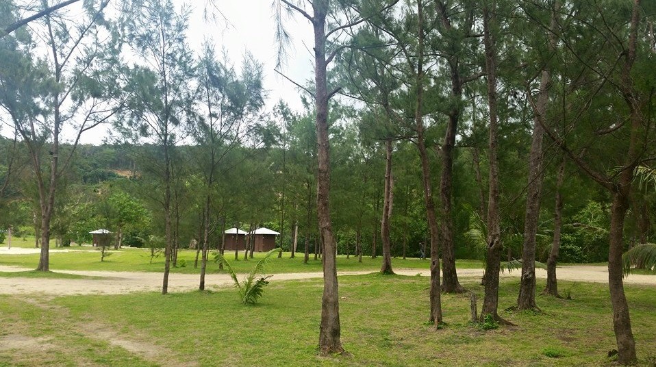 Scenery of Anguib Beach