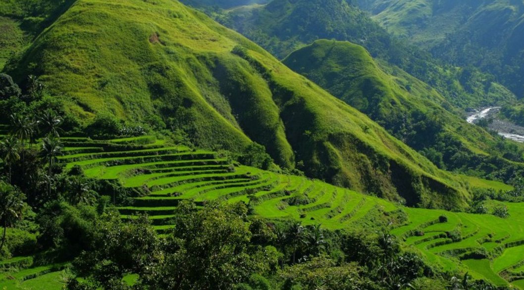 The Hidden Rice Terraces of Antique