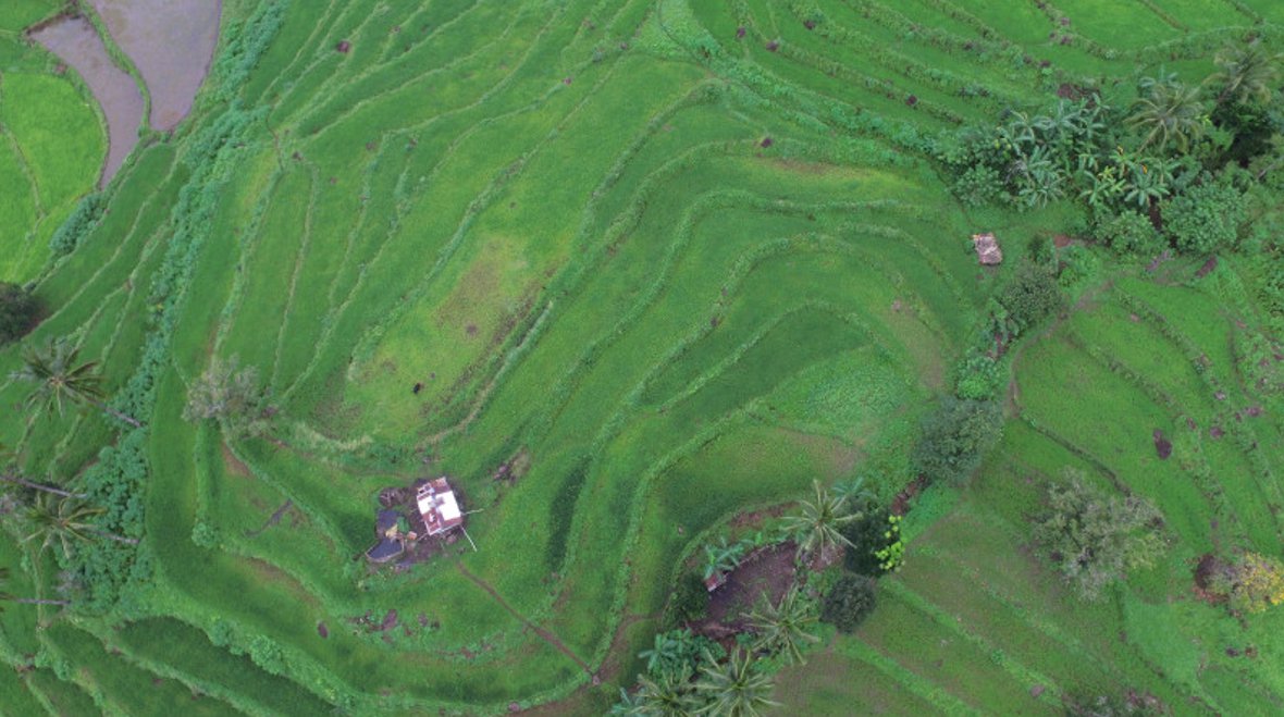 The Hidden Rice Terraces of Antique