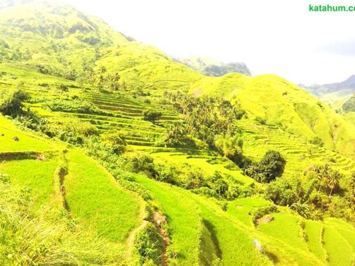 The Hidden Rice Terraces of Antique